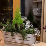 Chaty 木屋 扎科帕内